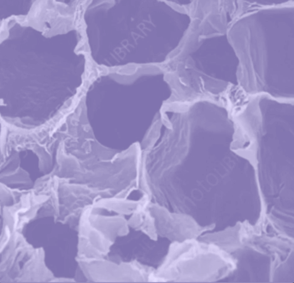 På den anden side – Biennale 2020