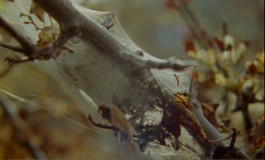 På den anden side – Biennale 2020