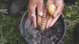 På den anden side – Biennale 2020