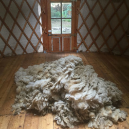 På den anden side – Biennale 2020