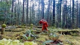 På den anden side – Biennale 2020